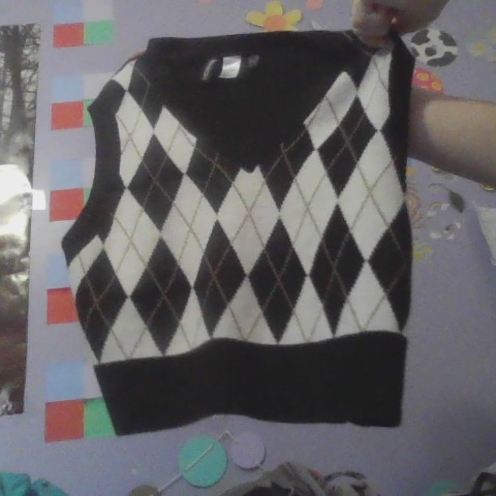 H&M checkered sweater vest
